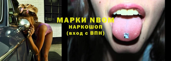 дурь Алексин