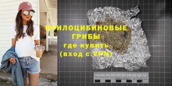 дурь Алексин