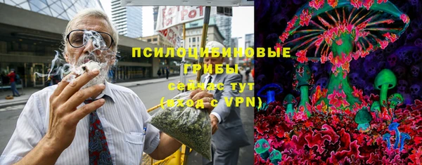 дурь Алексин