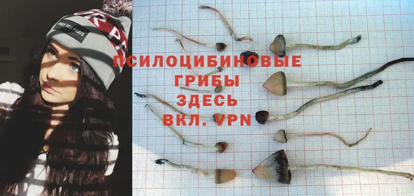 амф Алзамай
