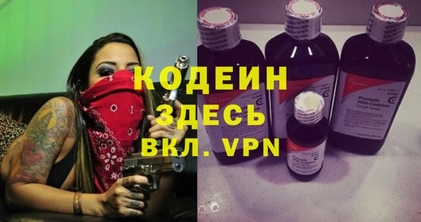 дурь Алексин