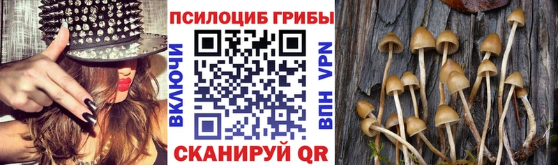 МЕГА ONION  Невьянск  Псилоцибиновые грибы прущие грибы 